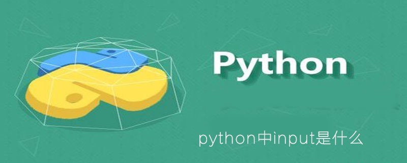 python中input是什么