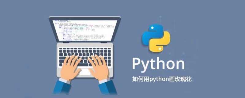 如何用python画玫瑰花