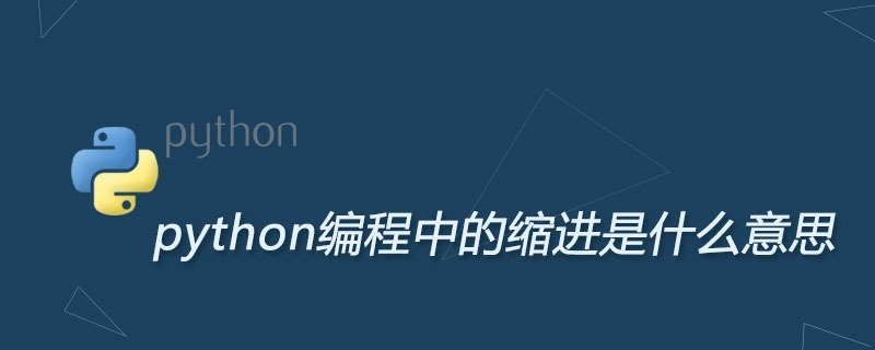 python编程中的缩进是什么意思