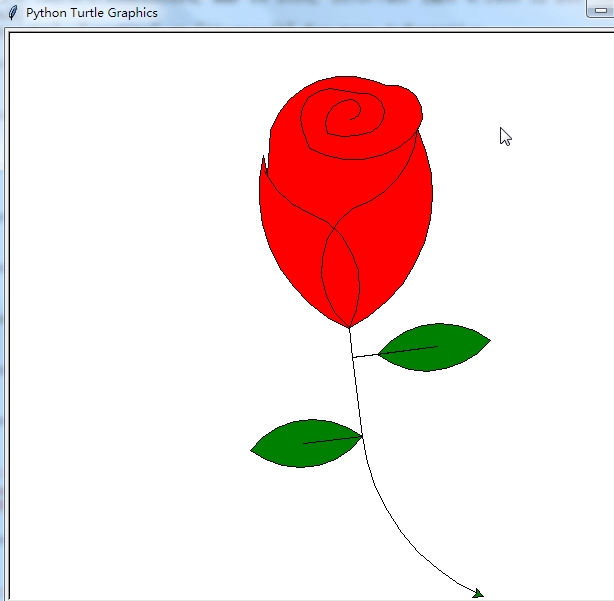 如何用python画玫瑰花