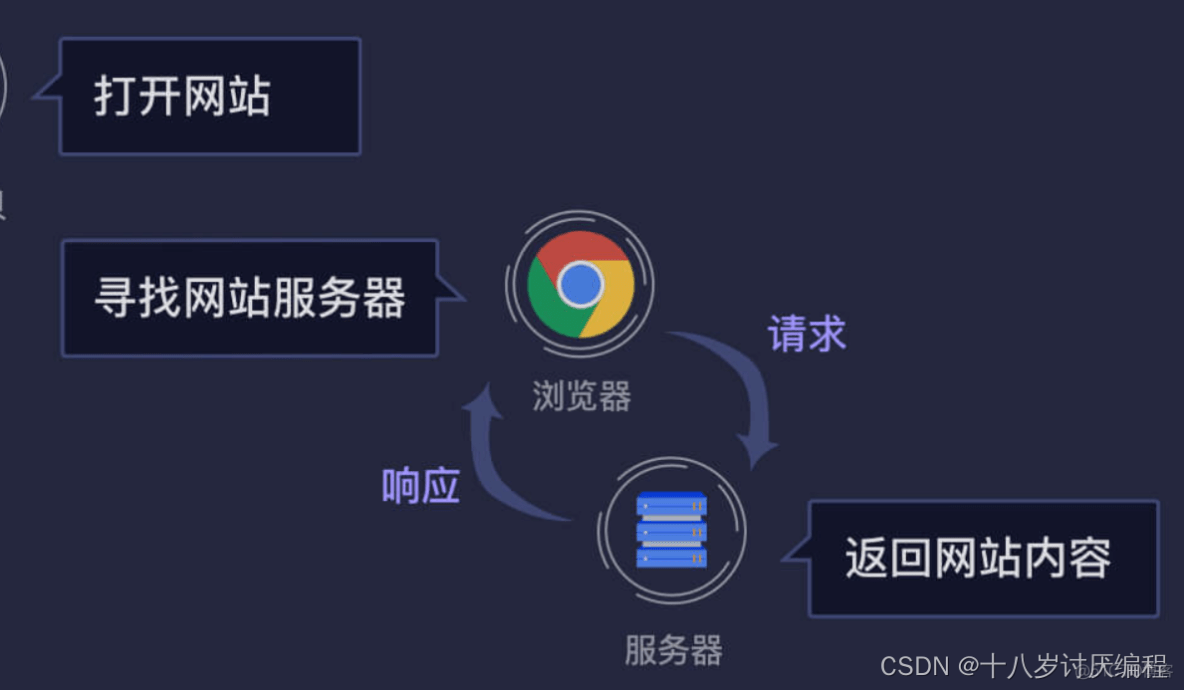 初识爬虫①_数据_06