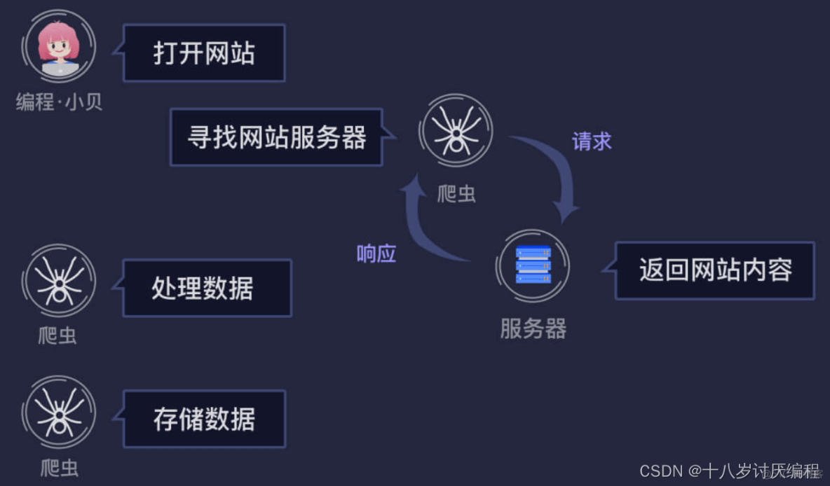 初识爬虫①_搜索引擎_08