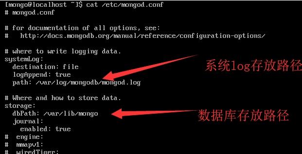 怎么查看mongodb数据库保存在哪里