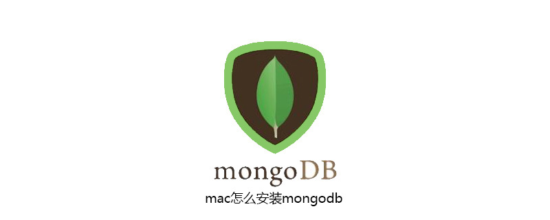 mac怎么安装mongodb