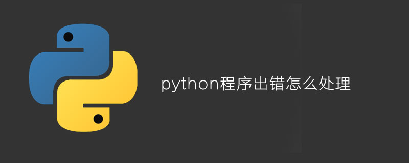 python程序出错怎么处理