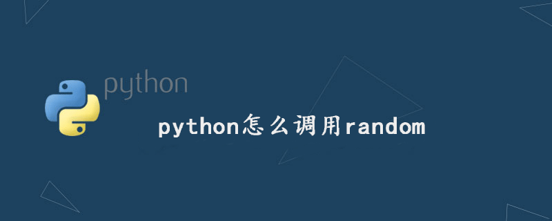 python怎么调用random