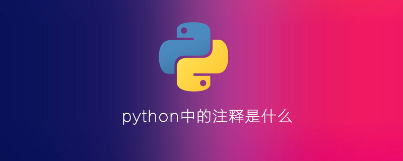 python中的注释是什么