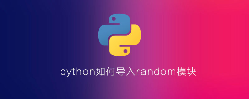 python如何导入random模块