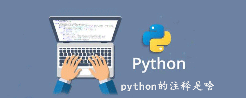 python的注释是啥