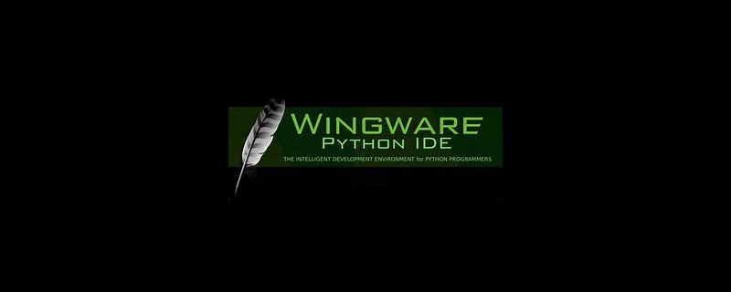 wingide6.0中文乱码解决方法