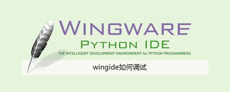 wingide如何调试