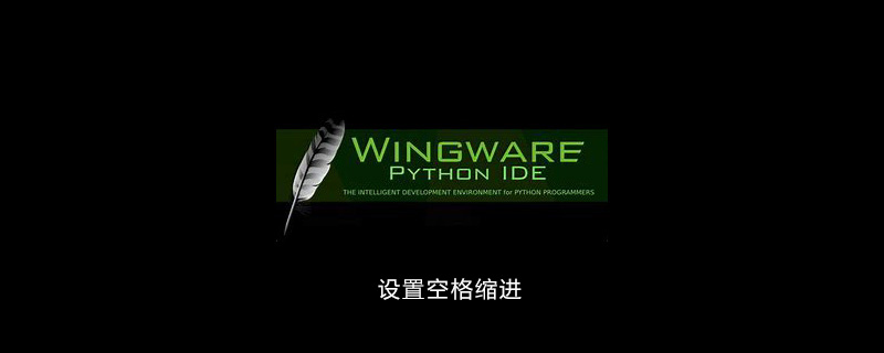 wingide如何设置空格缩进