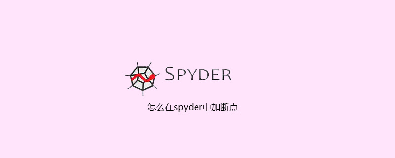 怎么在spyder中加断点