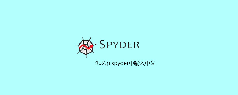 怎么在spyder中输入中文