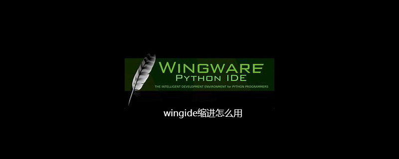 wingide缩进怎么用