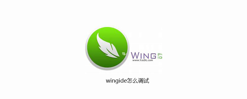 wingide怎么调试