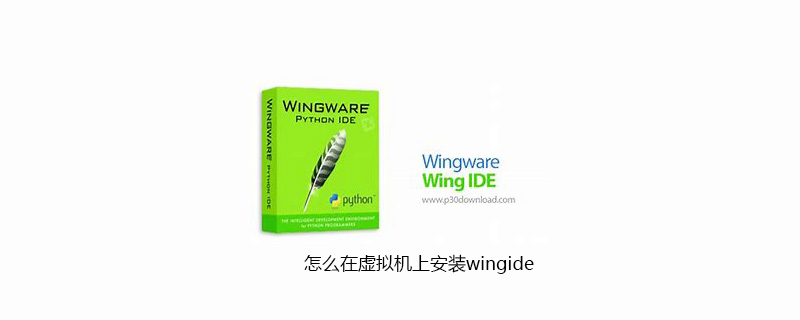 怎么在虚拟机上安装wingide