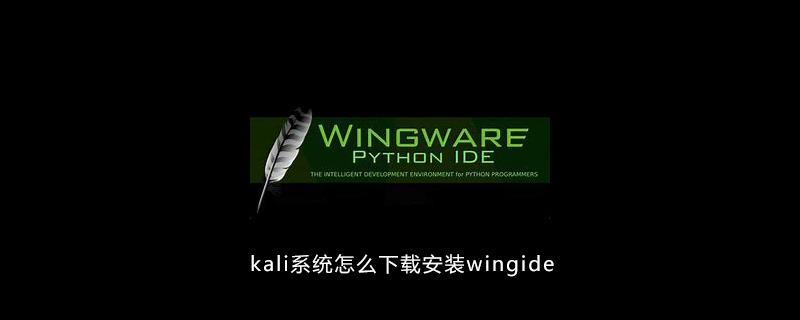 kali系统怎么下载安装wingide