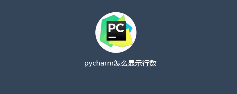 pycharm怎么显示行数