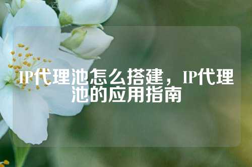 IP代理池怎么搭建，IP代理池的应用指南