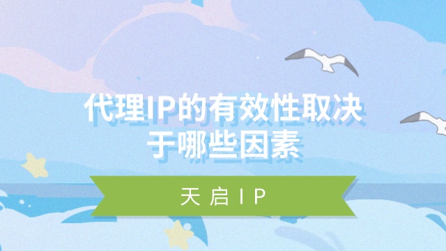 代理IP的有效性取决于哪些因素