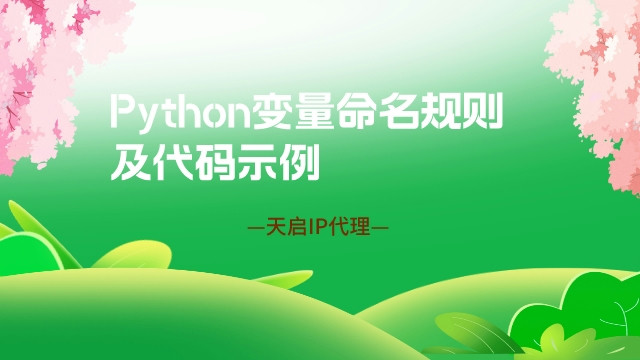 Python变量命名规则及代码示例