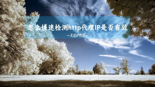 怎么快速检测http代理IP是否有效