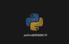python如何添加行号