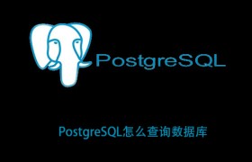 PostgreSQL怎么查询数据库