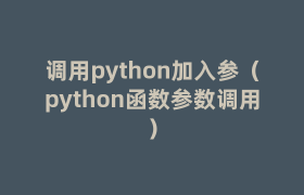 调用python加入参（python函数参数调用）