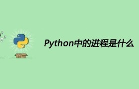 Python中的进程是什么