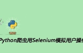 Python爬虫用Selenium模拟用户操作 Python爬虫用Selenium模拟用户操作