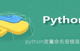 python变量命名报错是什么原因