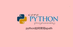 python如何使用xpath