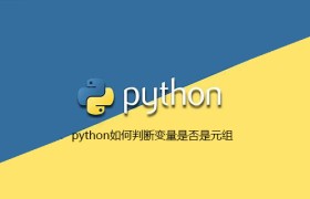 python如何判断变量是否是元组