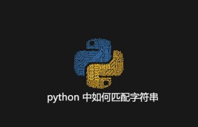 python 中如何匹配字符串