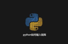 python如何输入矩阵