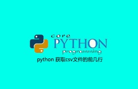 python 获取csv文件的前几行