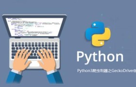 Python3爬虫 GeckoDriver的安装