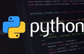 如何直接运行某个python文件
