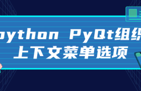 python PyQt组织上下文菜单选项 python PyQt组织上下文菜单选项