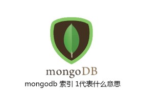 mongodb 索引 1代表什么意思 mongodb 索引 1代表什么意思