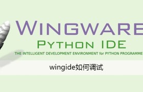 wingide如何调试 wingide如何调试