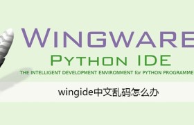 wingide中文乱码怎么办 wingide中文乱码怎么办