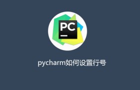 pycharm如何设置行号 pycharm如何设置行号