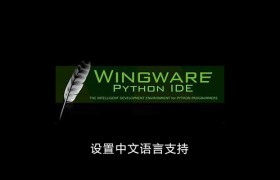 wingide怎样设置中文语言支持 wingide怎样设置中文语言支持