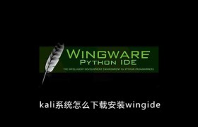 kali系统怎么下载安装wingide kali系统怎么下载安装wingide