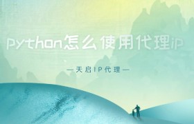 python怎么使用代理ip