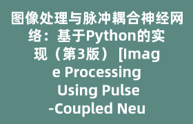 图像处理与脉冲耦合神经网络：基于Python的实现（第3版） [Image Processing Using Pulse-Coupled Neural Networks:Applications in Python(Third Edition)]_试读_书评_源码_高清pdf下载