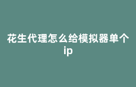 ipipgo代理怎么给模拟器单个ip ipipgo代理怎么给模拟器单个ip